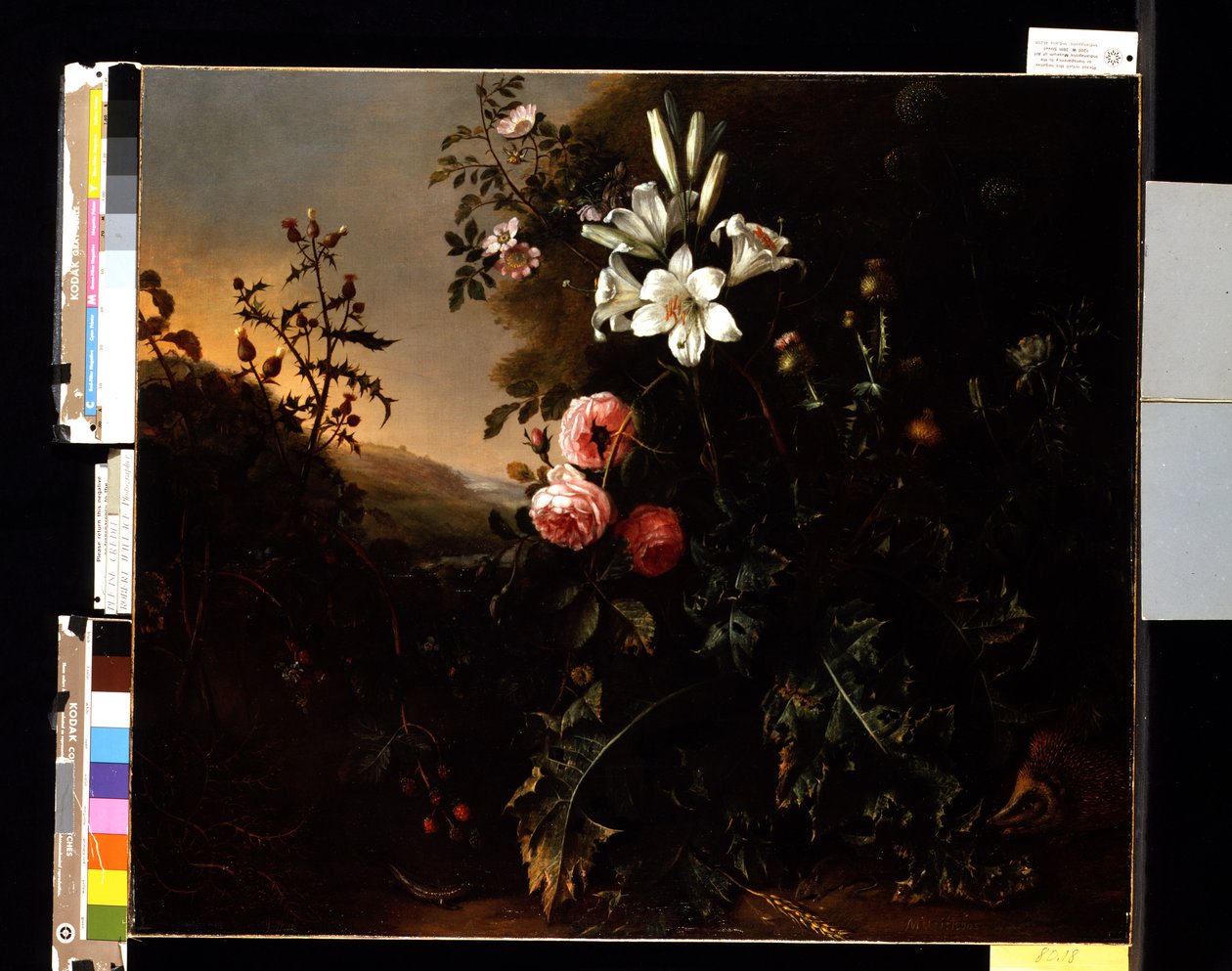 Stilleben, ca. 1670 (olie på lærred) af Matthias Withoos
