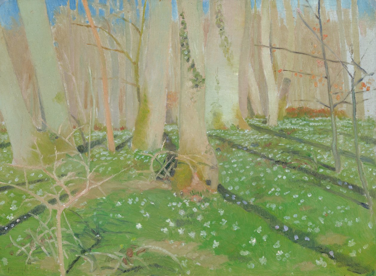 Skov med anemoner, 1889 (olie på kort) af Maurice Denis