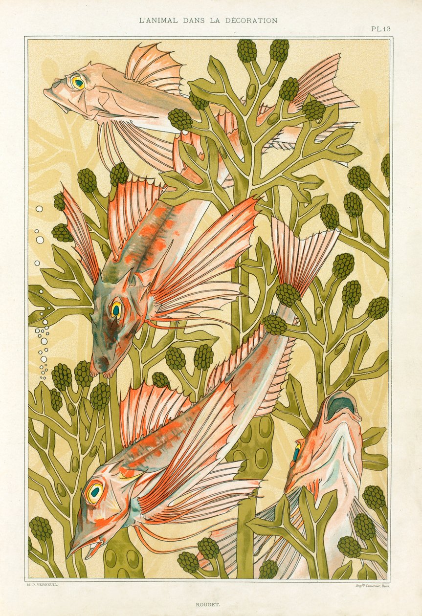 Red Mullet, pub. 1897. af Maurice Pillard Verneuil