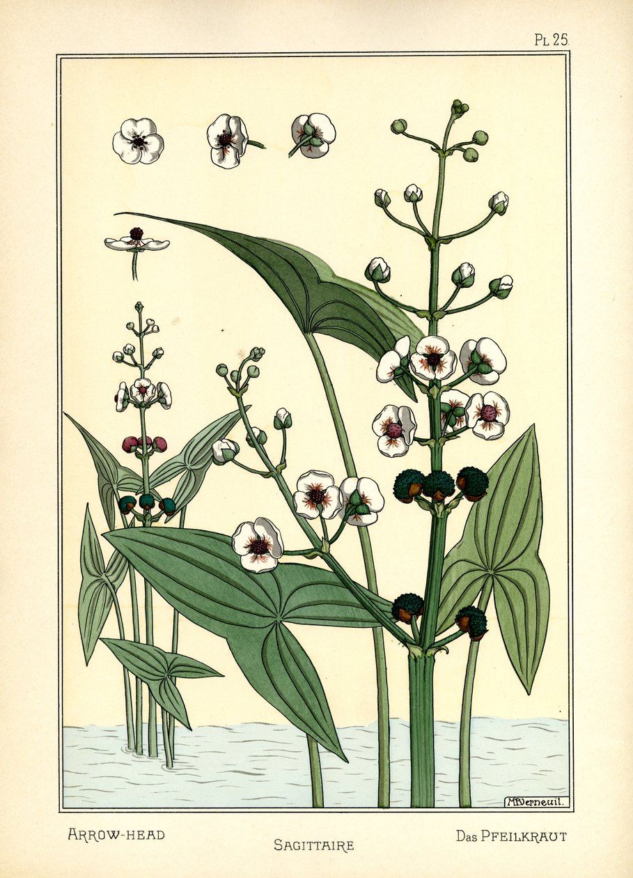 Pilespidsen (farve litho) af Maurice Pillard Verneuil