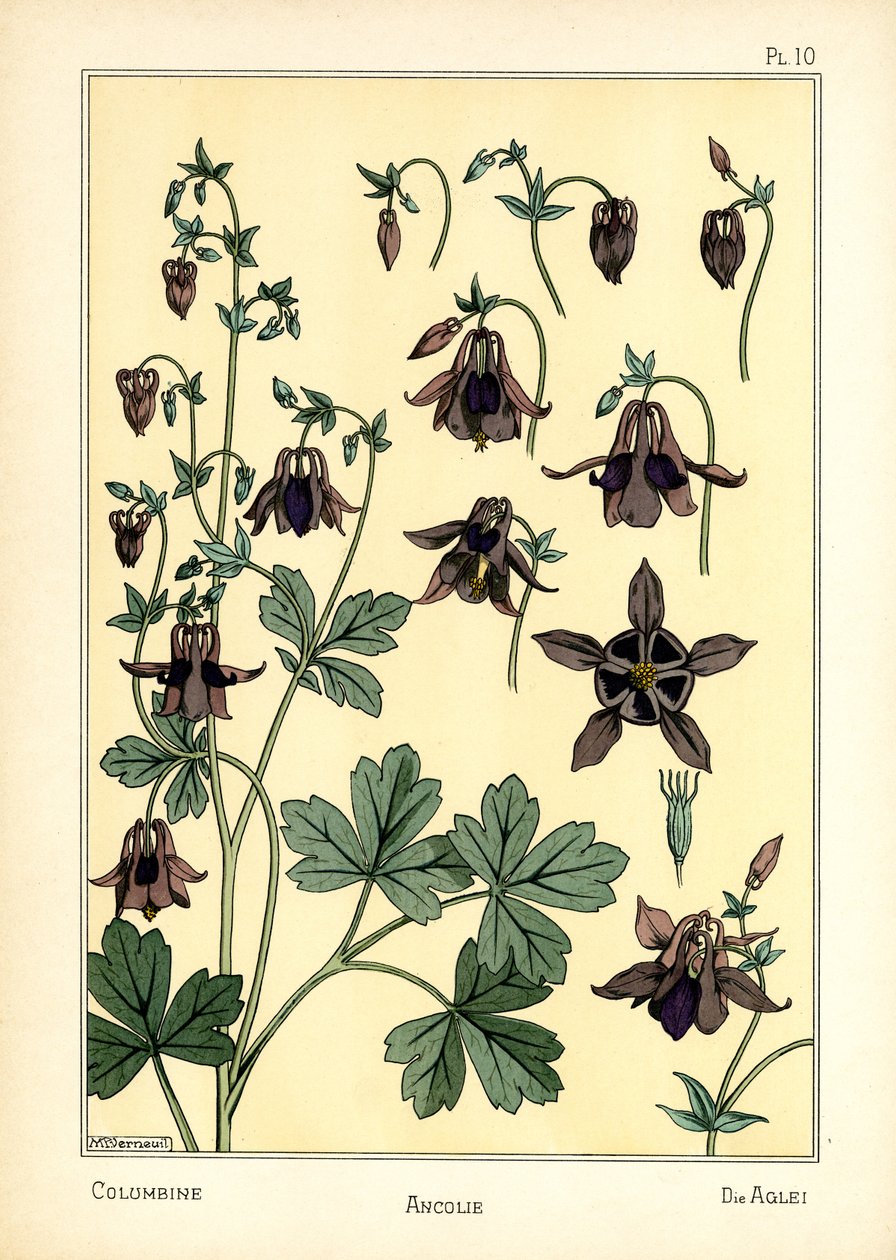 Columbine (farve litho) af Maurice Pillard Verneuil