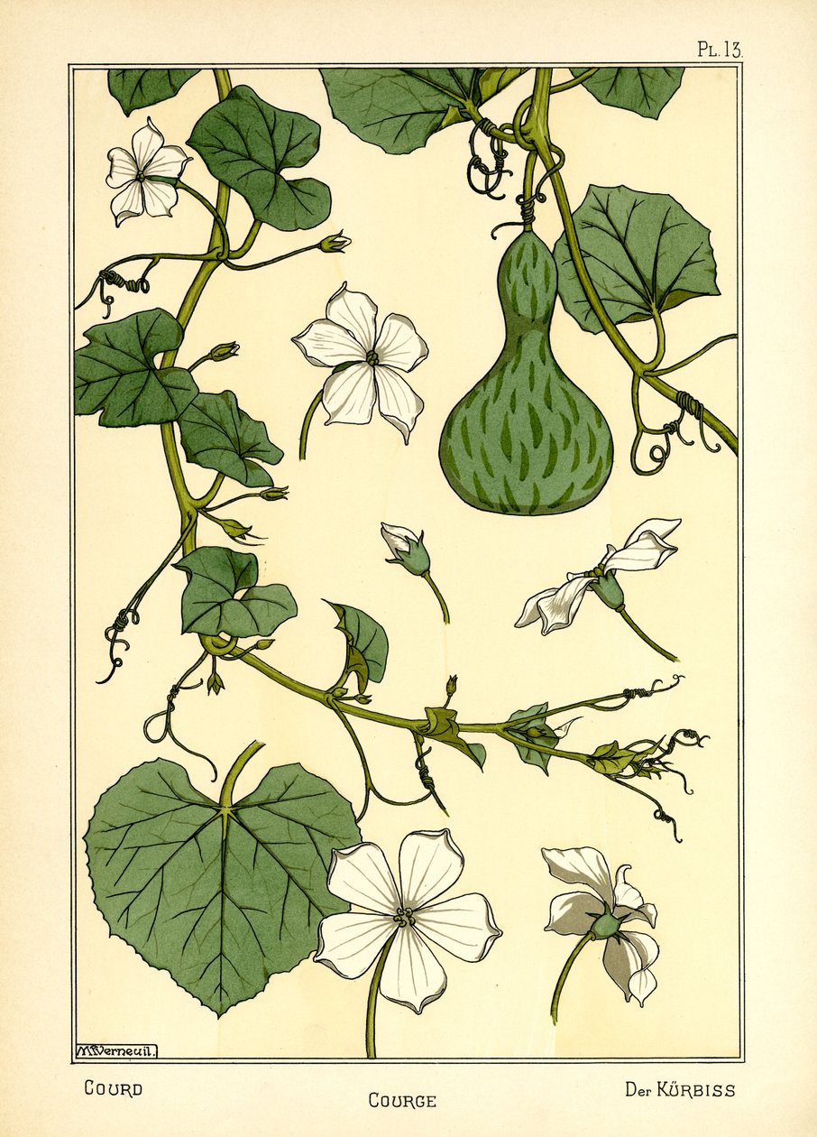 Græskarret (farve litho) af Maurice Pillard Verneuil