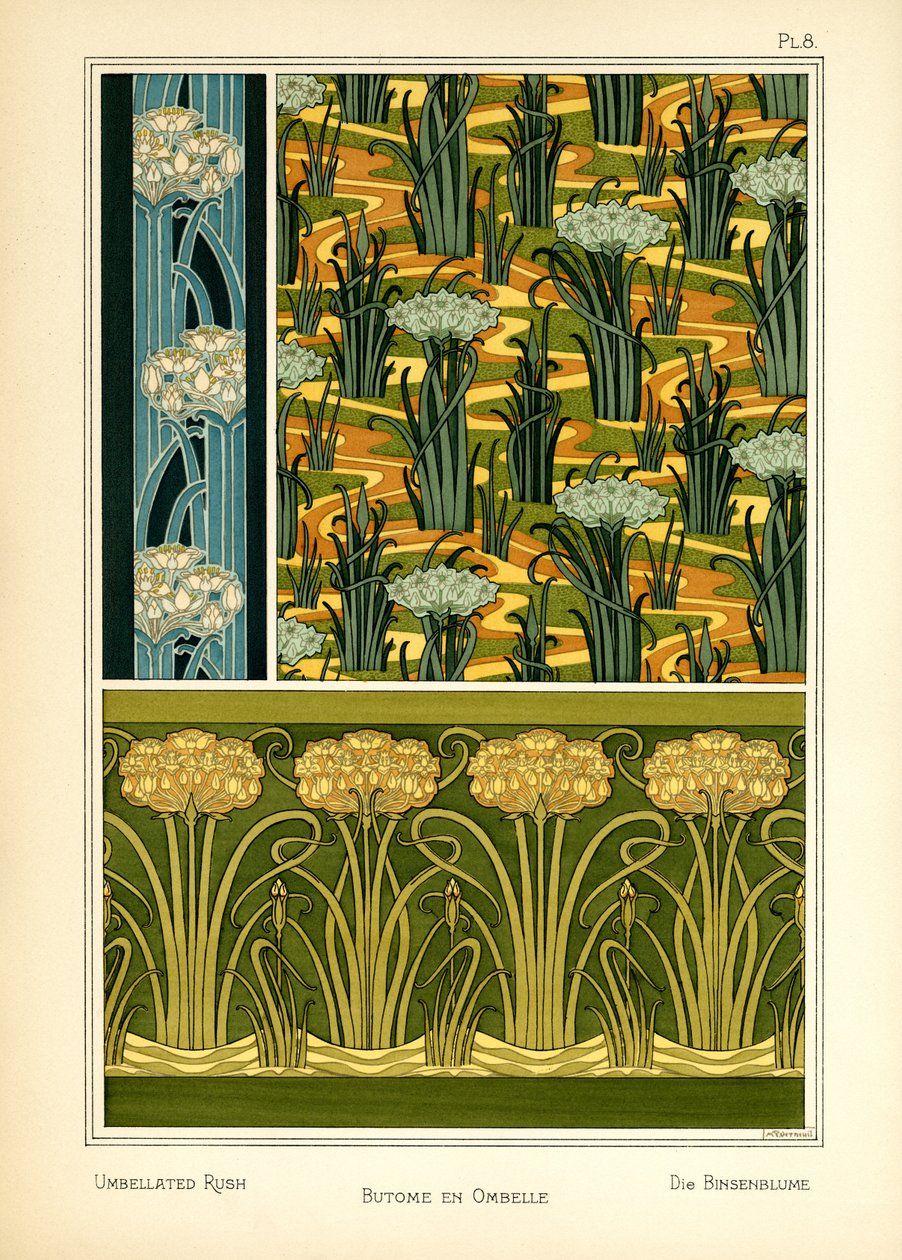 The Umbellated Rush (farve litho) af Maurice Pillard Verneuil