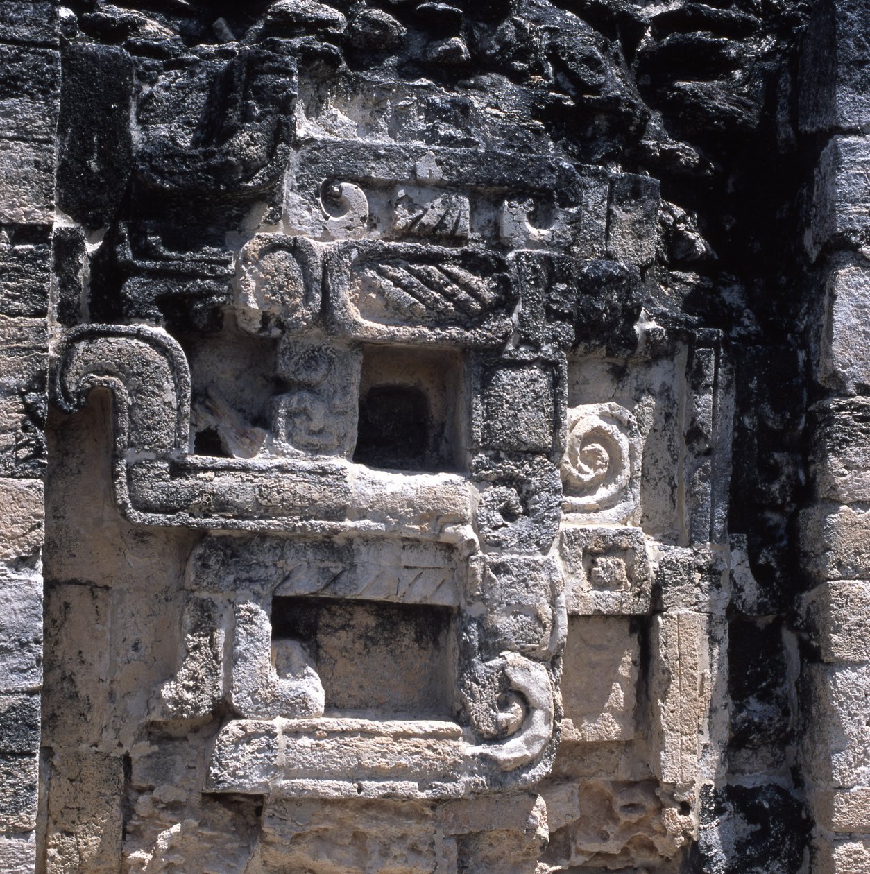 Relief af et uhyre af jorden, senklassisk periode, 600-900 e.Kr. af Mayan