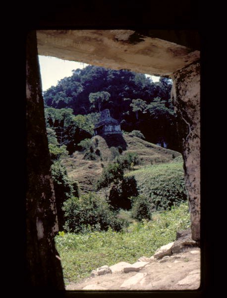 Grevernes tempel af Mayan