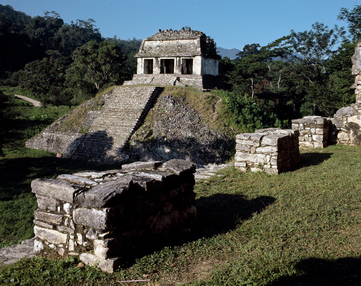 Grevens tempel af Mayan