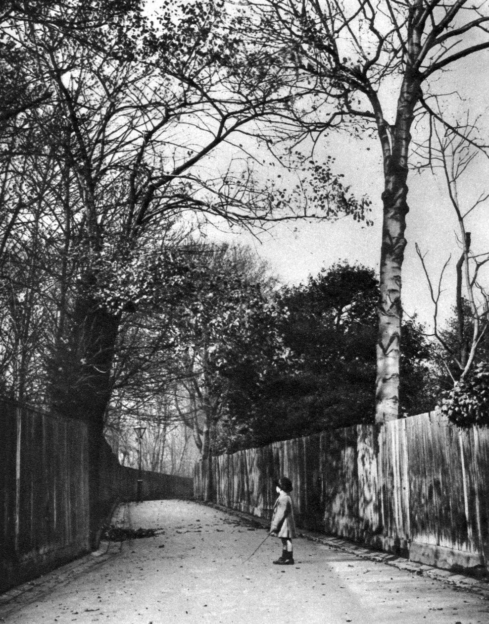 Efterårstid i Holland Walk, London, 1926-1927. af McLeish