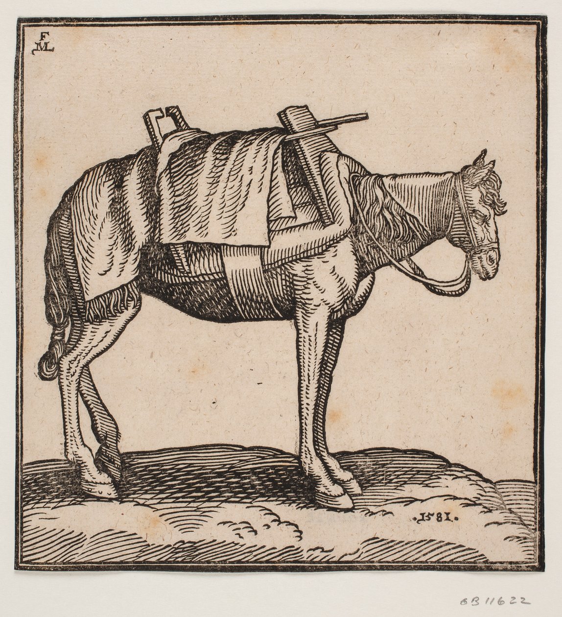 En opsadlet bærehest af Melchior Lorck