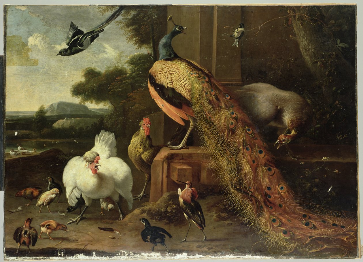 Oprør i fjerkrækuppet af Melchior de Hondecoeter