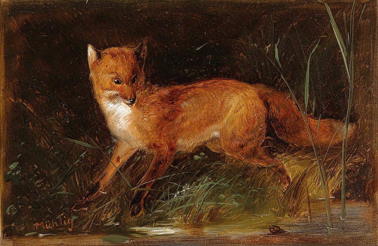 Meno Mühlig Fuchs af Meno Muhlig