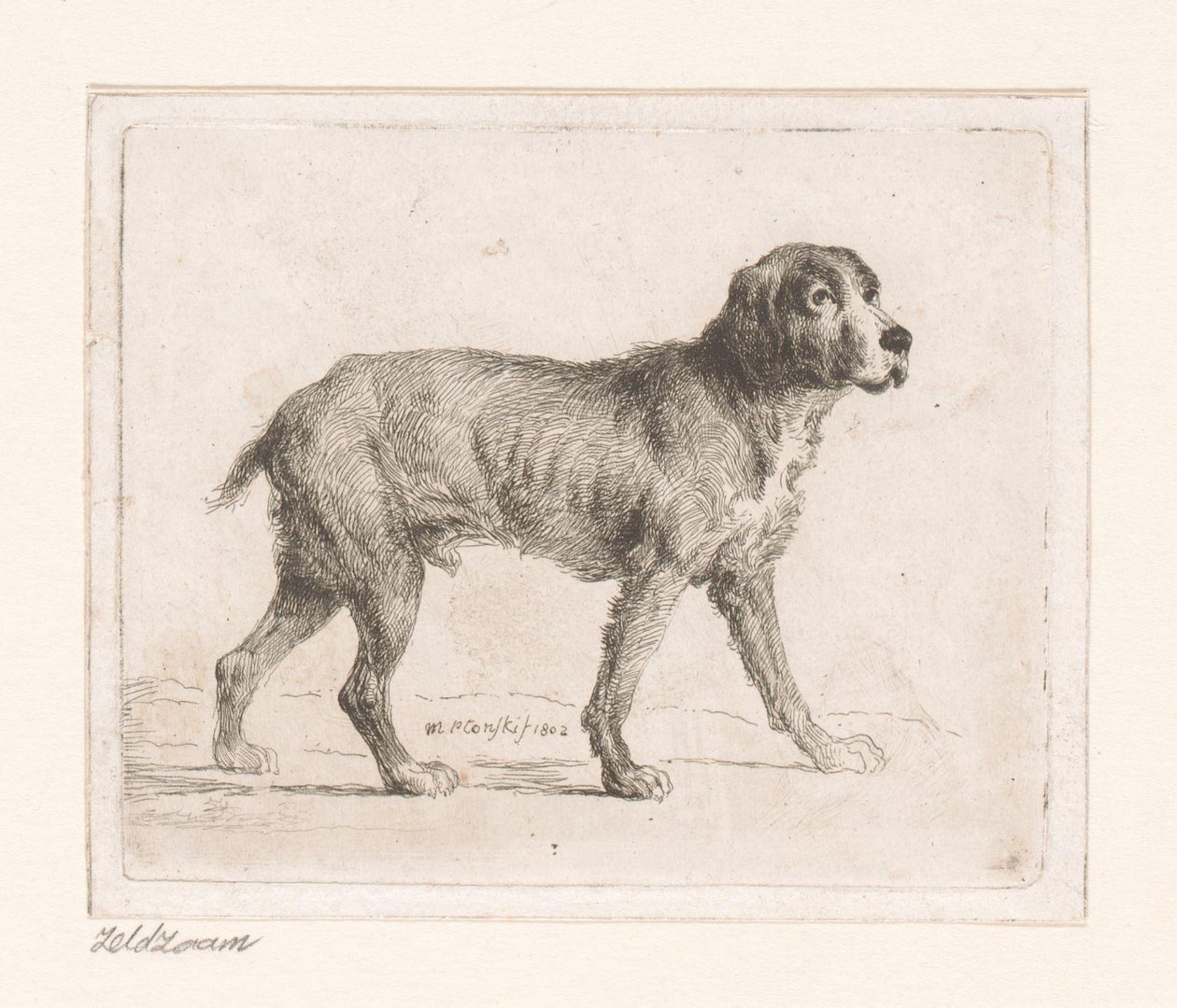 Hund af Michał Płoński