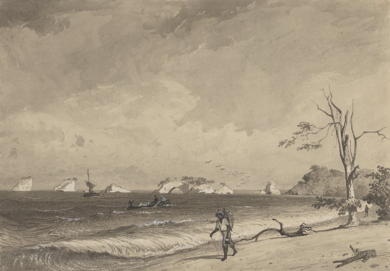 Los Gallos, Icacos Bay af Michel Jean Cazabon