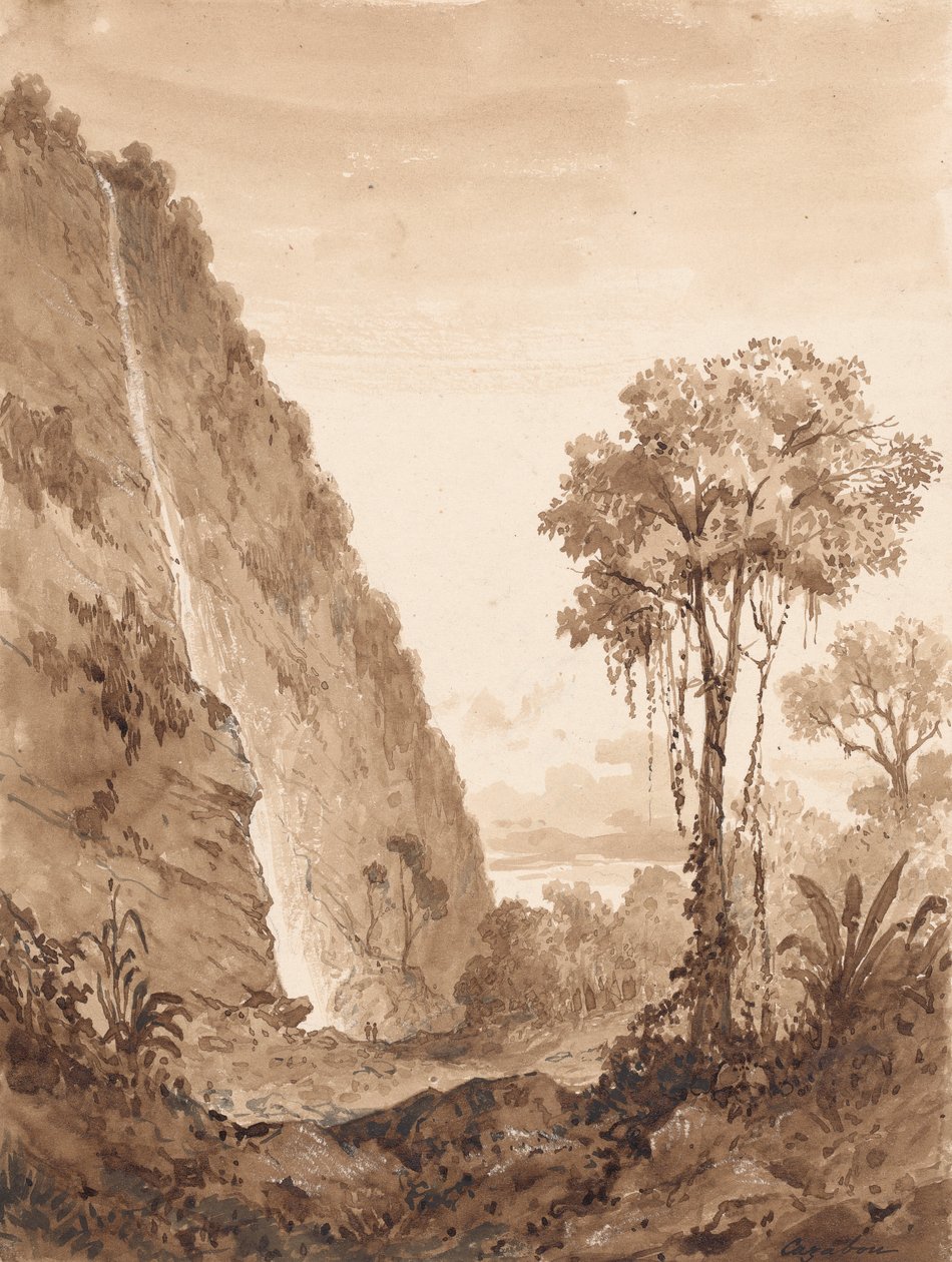 Maracas vandfald af Michel Jean Cazabon