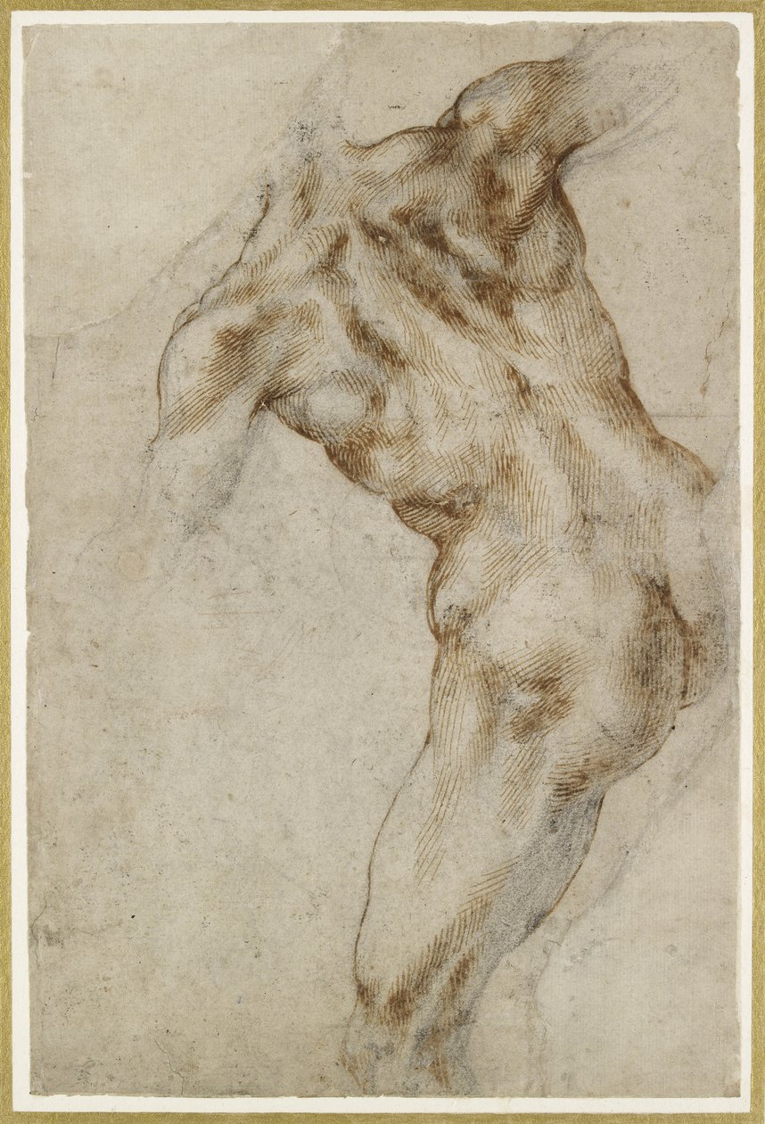 Nøgen mandlig Torso af Michelangelo Buonarroti