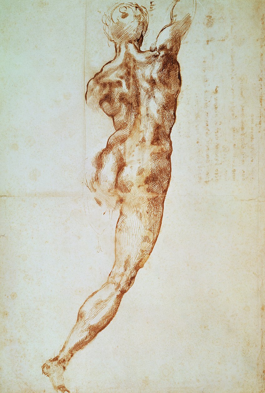 Nøgen, studie til slaget ved Cascina (rødt kridt på papir) af Michelangelo Buonarroti