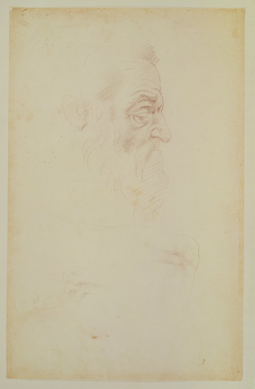 Skitse af et mandehoved og to ben (kul på papir) af Michelangelo Buonarroti