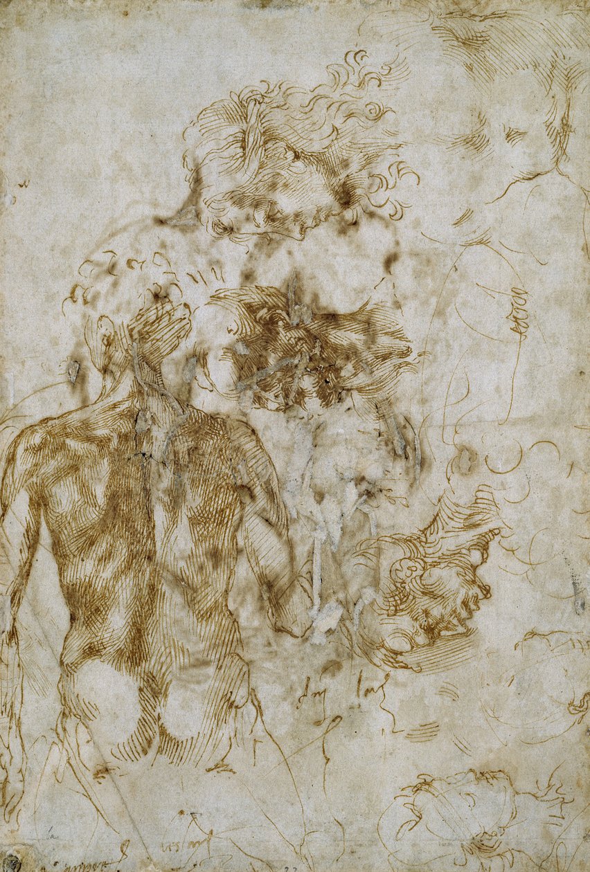 Studier af mandlig nøgenhed af Michelangelo Buonarroti