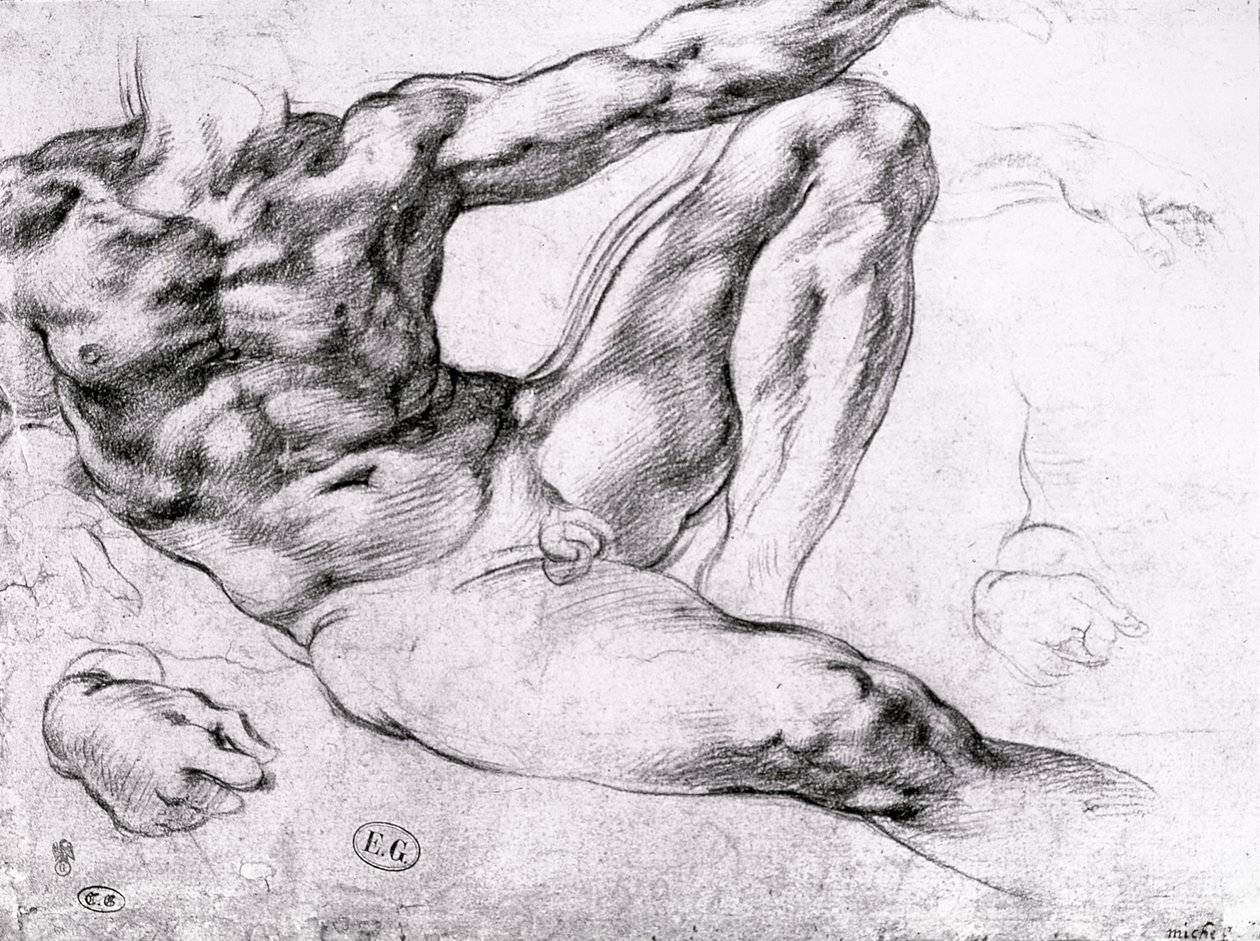 Studie til skabelsen af Adam af Michelangelo Buonarroti