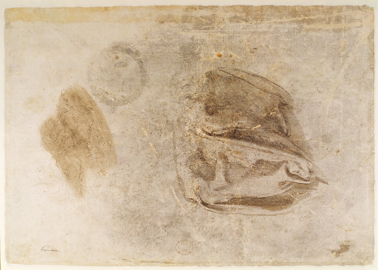Studie til den erythraiske Sibylle (kul med hvide fremhævninger og brun vask på papir) af Michelangelo Buonarroti