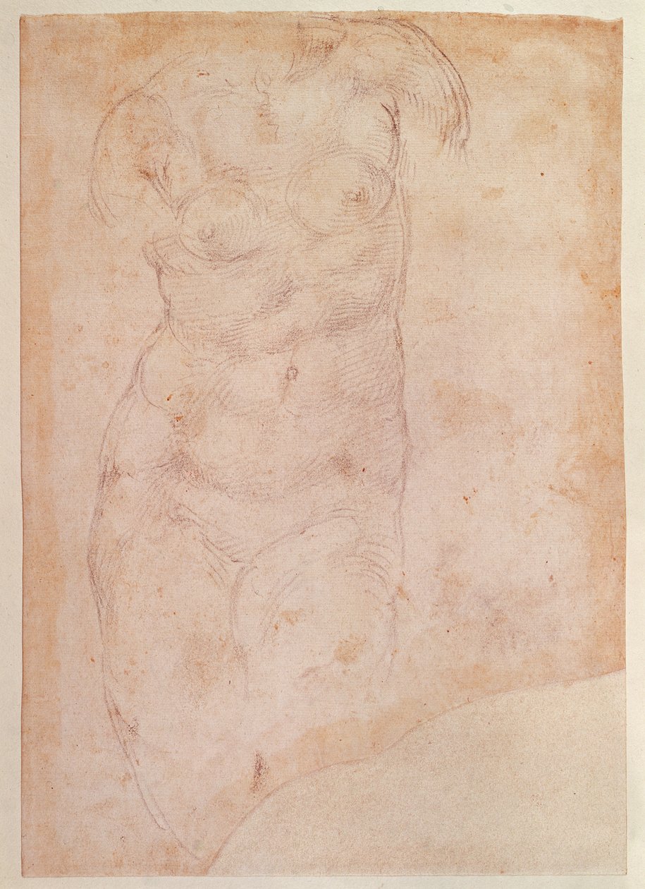 Undersøgelse af en nøgen kvinde af Michelangelo Buonarroti