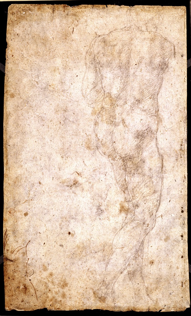 Studie af en mandlig nøgen af Michelangelo Buonarroti