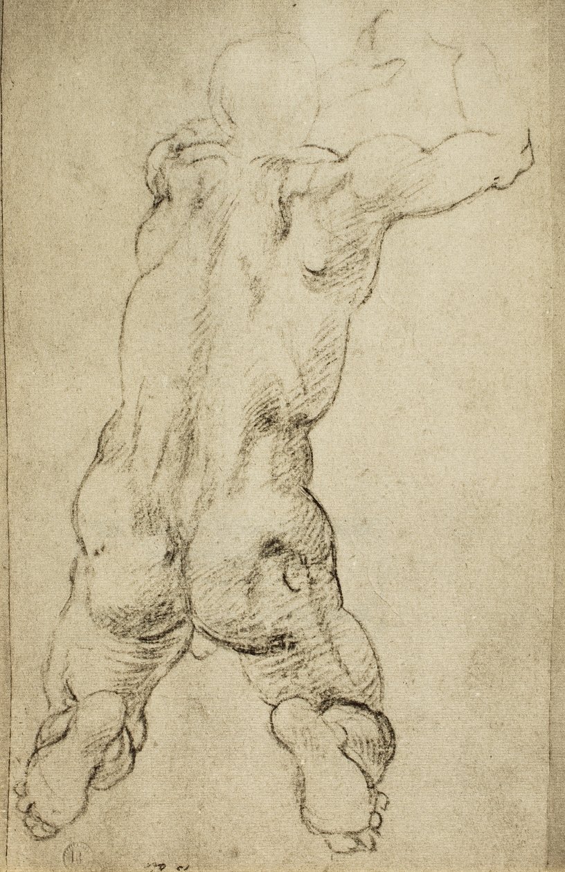Studie af en viril figur: tegning af Michelangelo. Casa Buonarroti, Firenze af Michelangelo Buonarroti