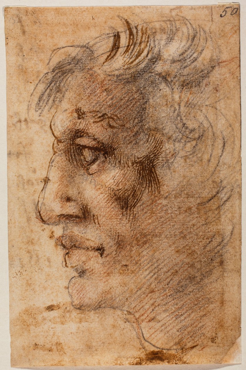Mandligt hoved i profil af Michelangelo (after) Buonarroti