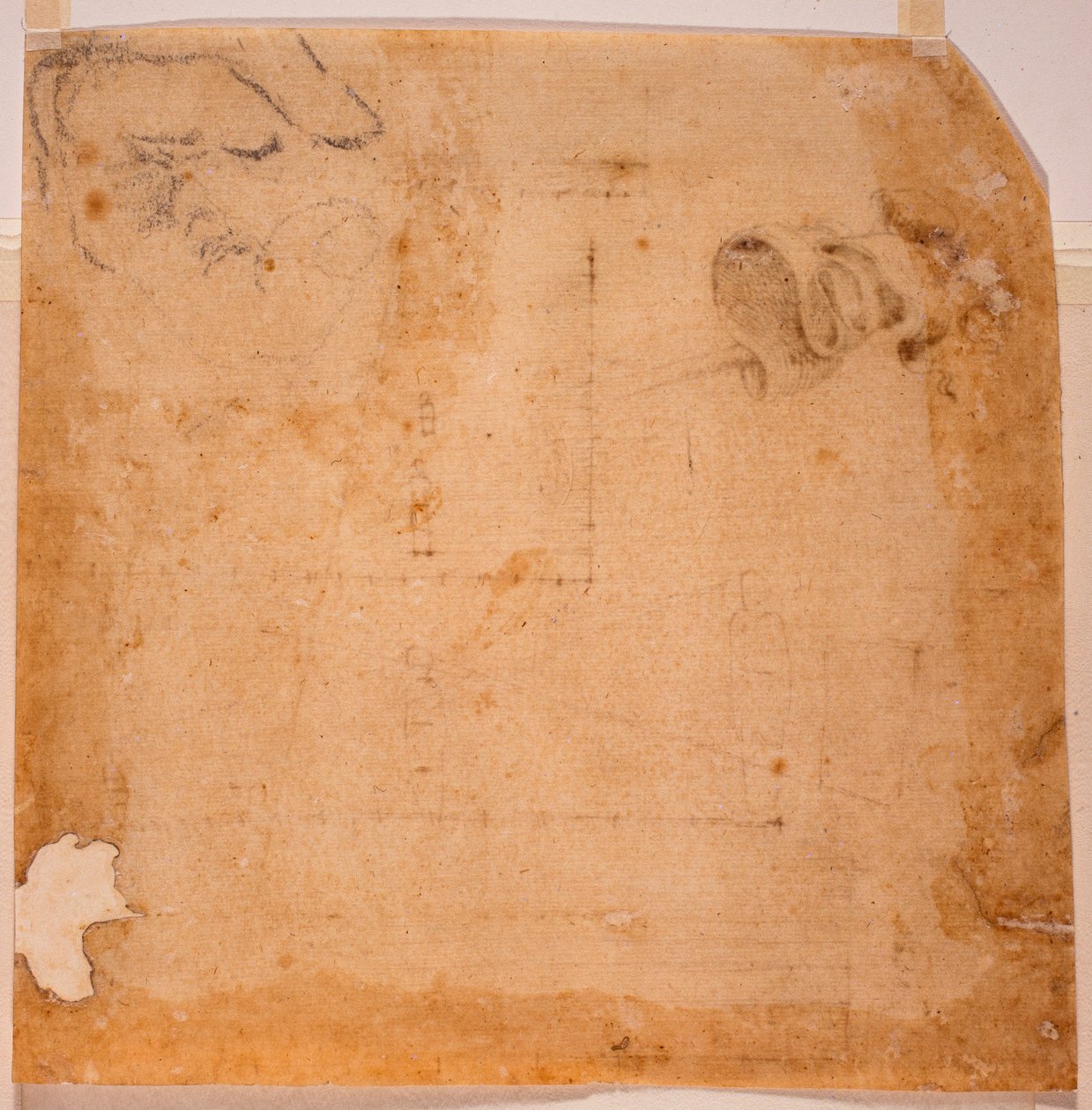 Perspektivstudier og banner af Michelangelo (after) Buonarroti
