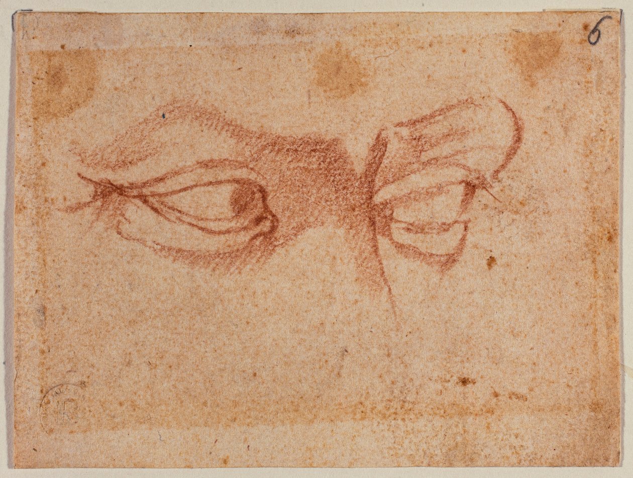 Undersøgelse af øjne af Michelangelo (after) Buonarroti