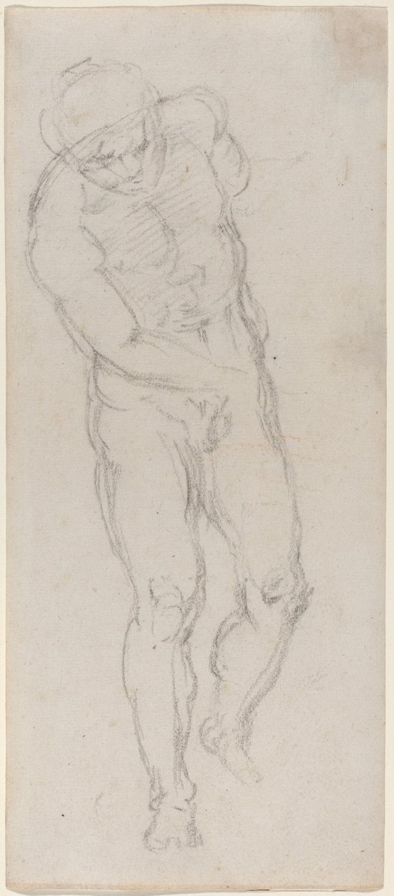 Mand nøgen [recto] af Michelangelo