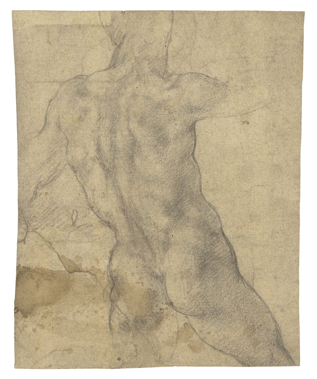 En nøgen mand set bagfra af Michelangelo Buonarroti