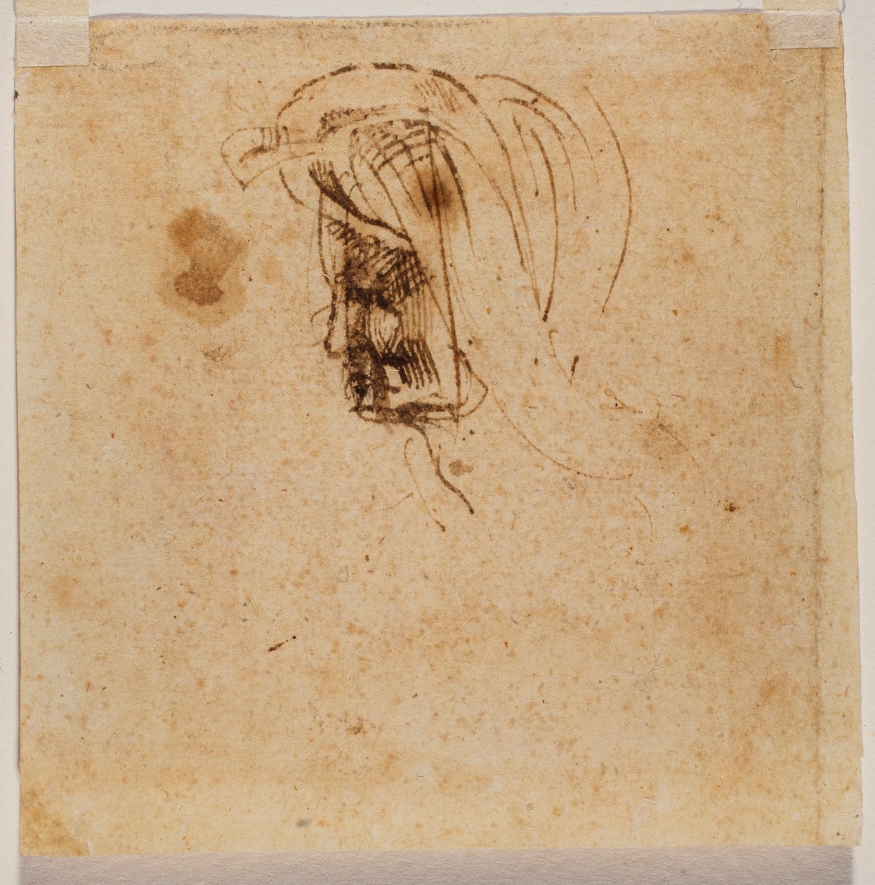 Kvindeligt hoved af Michelangelo Buonarroti