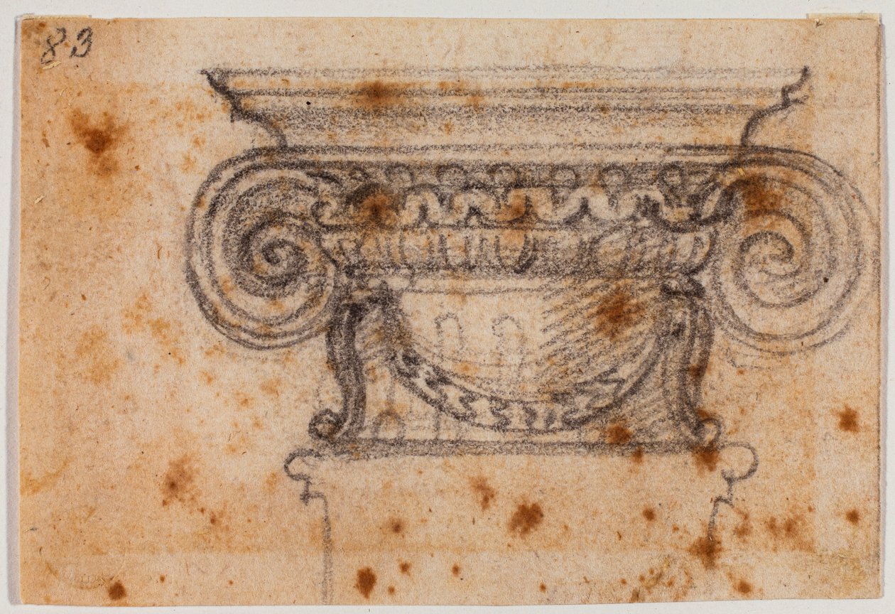 Undersøgelse af ionisk kapital af Michelangelo Buonarroti