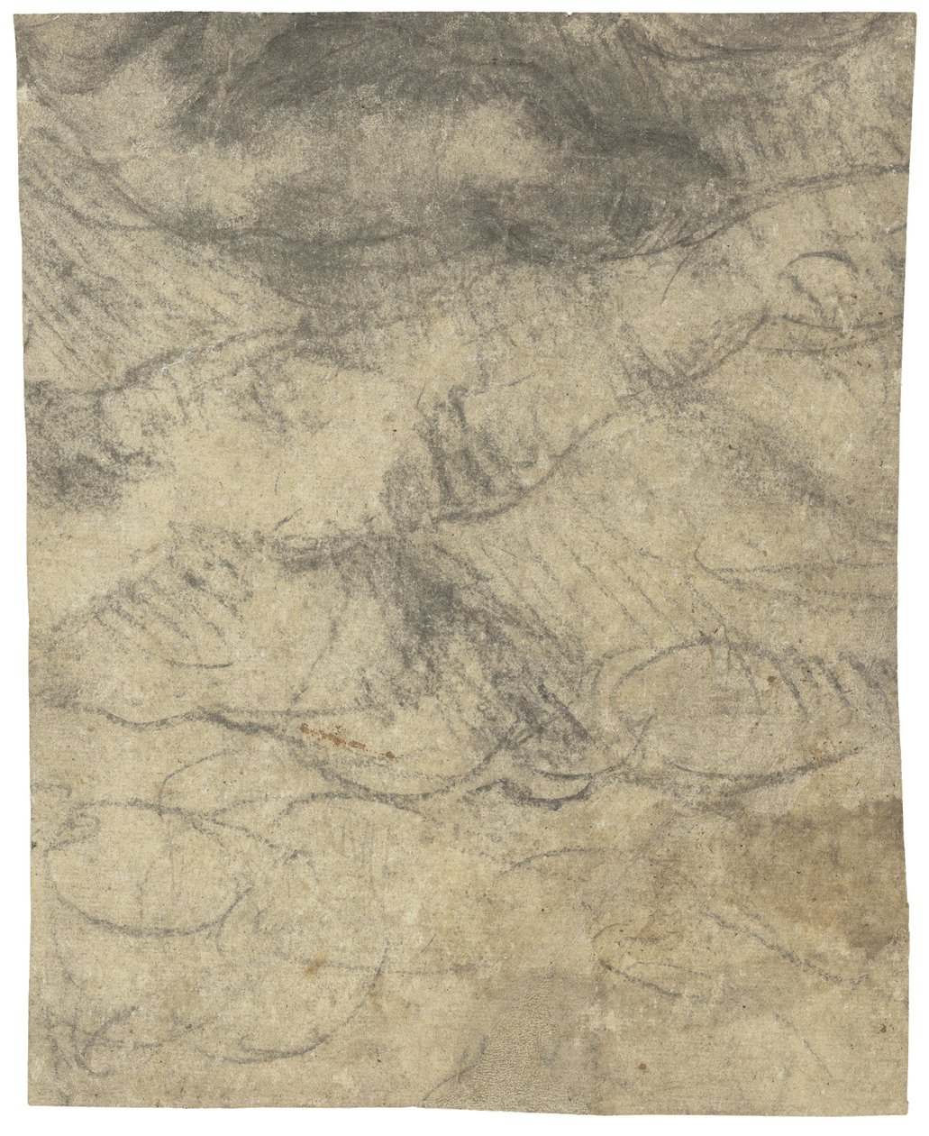 Mand nøgen af Michelangelo Buonarroti
