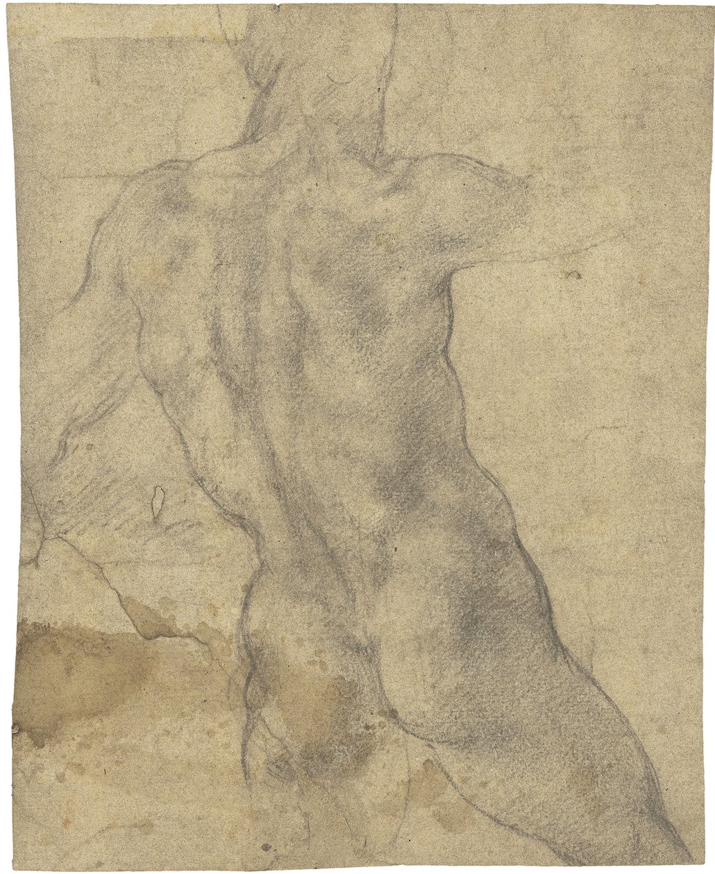 Mand nøgen af Michelangelo Buonarroti