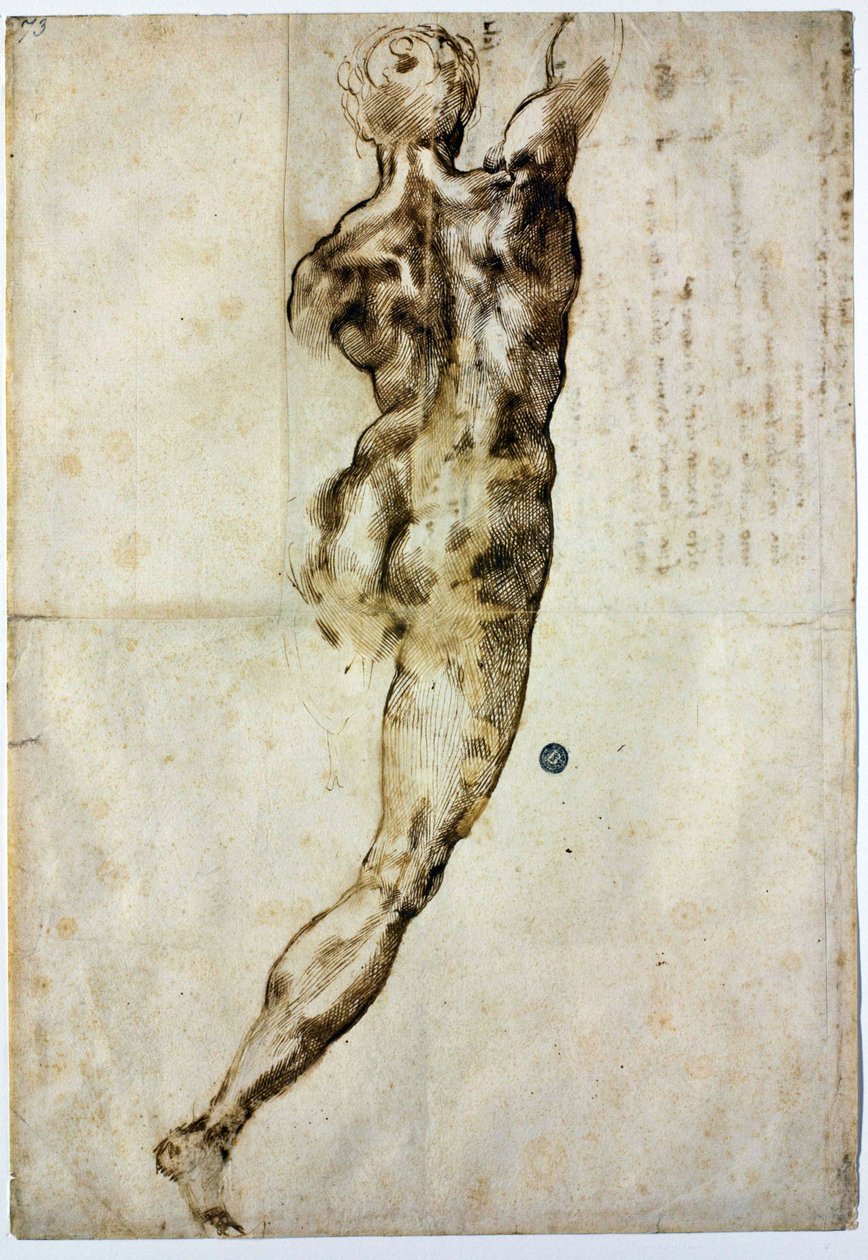 Nøgen bagfra, ca. 1504 af Michelangelo Buonarroti
