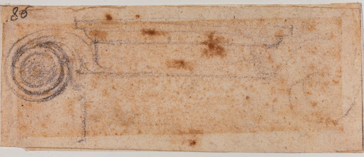 Undersøgelse af ionisk kapital af Michelangelo Buonarroti