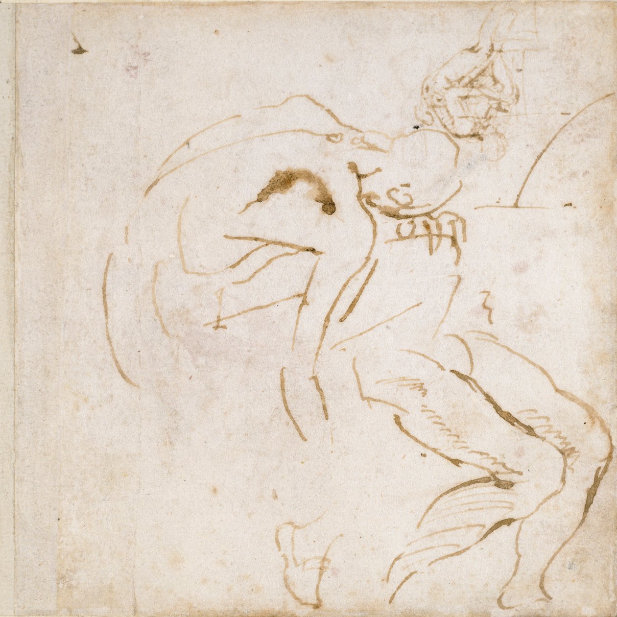 To partielle figurstudier, c1490-1560 af Michelangelo Buonarroti