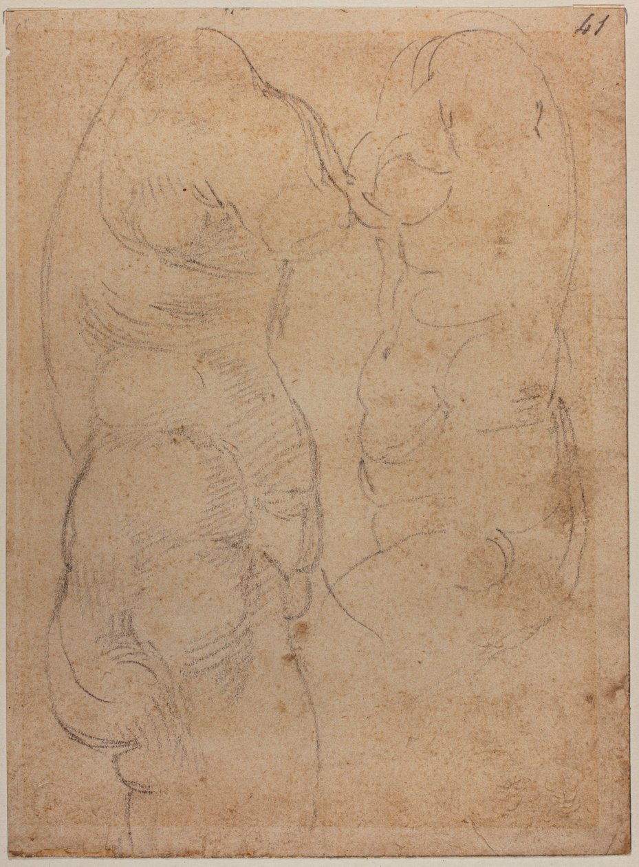 To studier af en gammel Venus af Michelangelo Buonarroti