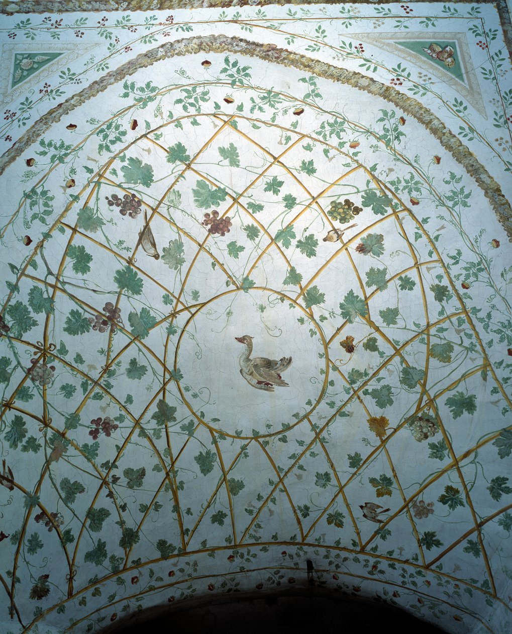 Udsigt over kælderens hvælving, Villa Medicea di Careggi af Michelozzo di Bartolommeo