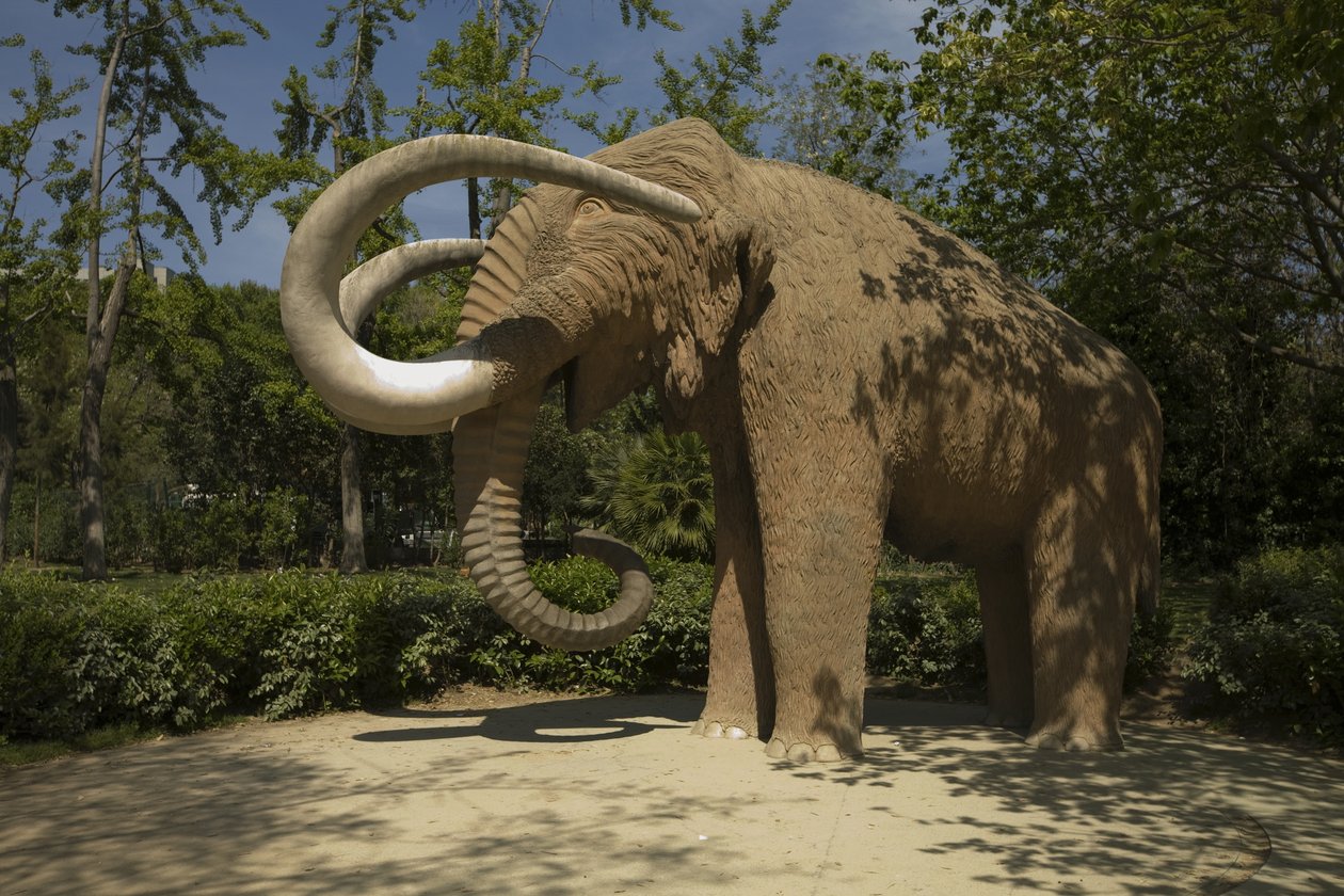 Mammoth, 1907 af Miguel Dalmau