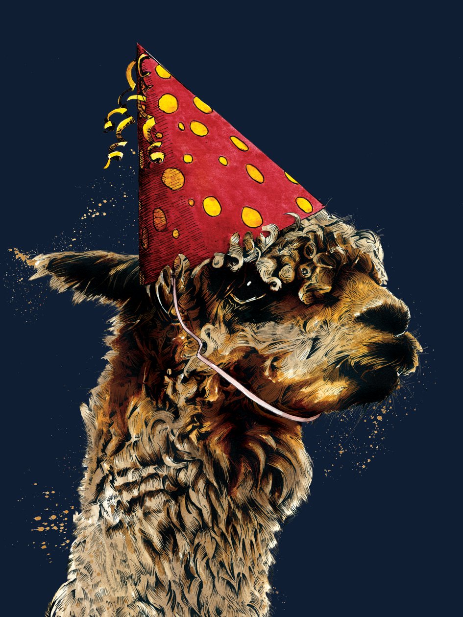 Fødselsdag Alpaca på Midnight Blue, 2020 af Mike Davis
