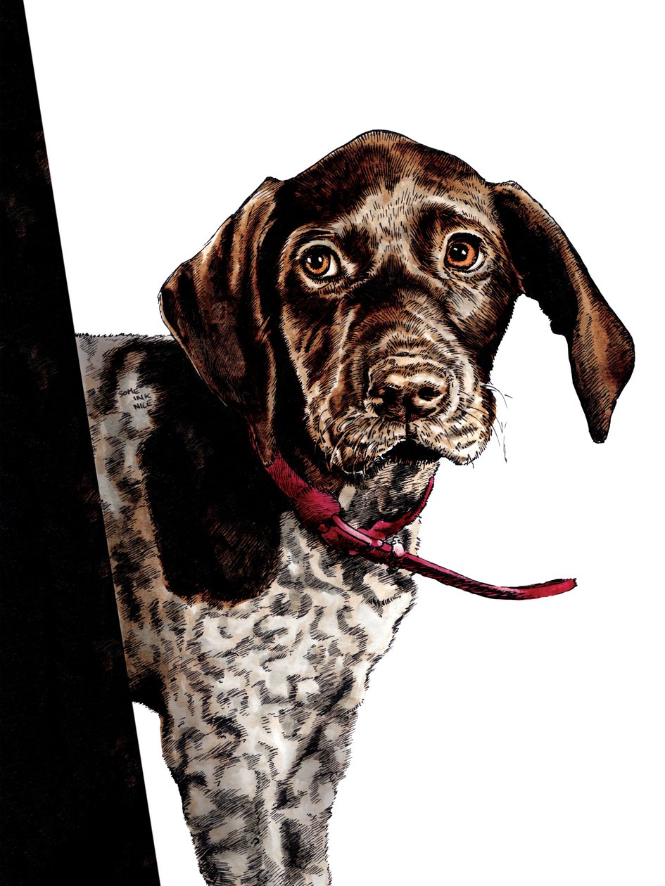 Bye Bye Puppy on White, 2020 af Mike Davis