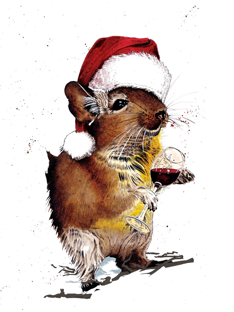Christmas Degu on White, 2020 af Mike Davis