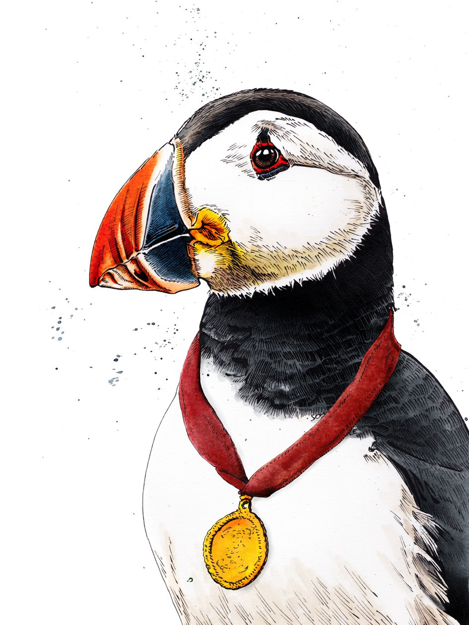 Tillykke Puffin on White, 2020 af Mike Davis