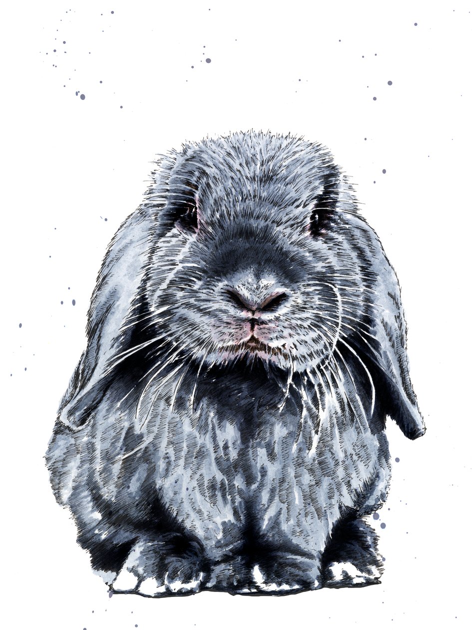 Grey One The Bunny on White, 2019 af Mike Davis