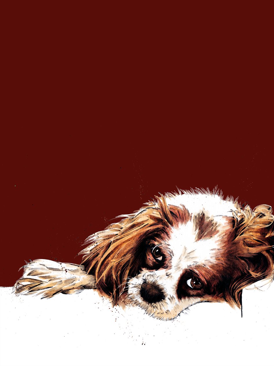 Meg The Spaniel on Red Oxide, 2020 af Mike Davis