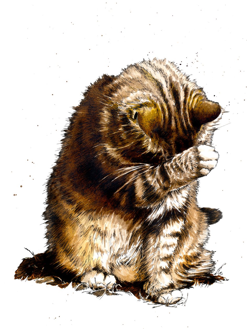 Smallfry The Cat on White, 2019 af Mike Davis