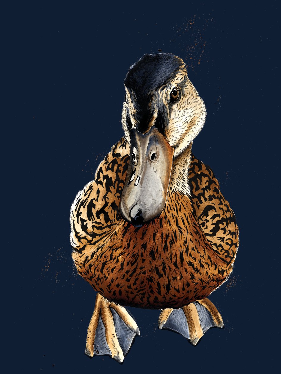The Duck on Midnight Blue, 2020 af Mike Davis