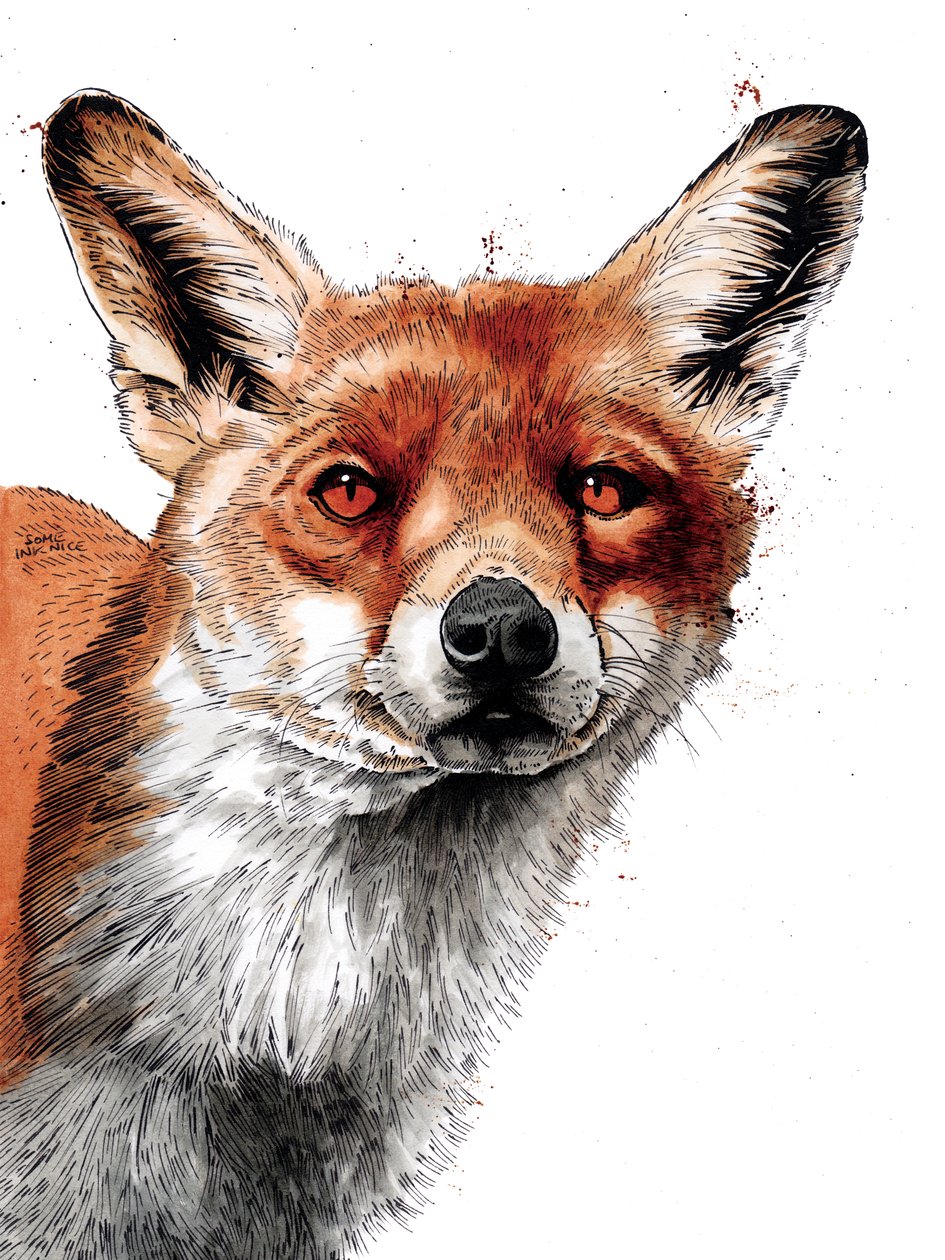 The Fox on White, 2019 af Mike Davis